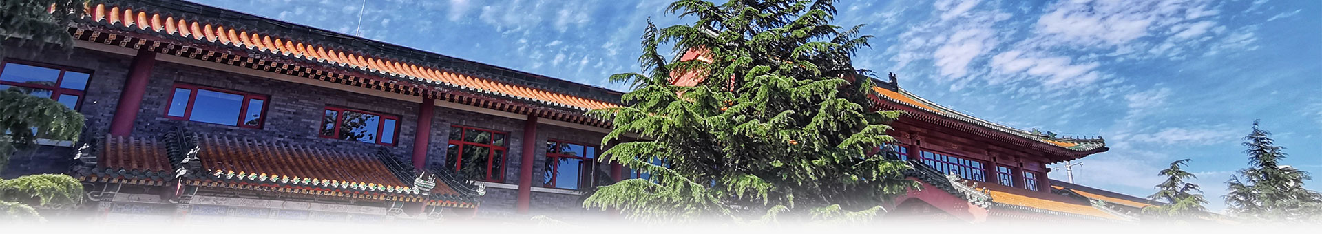 关于我们 Banner